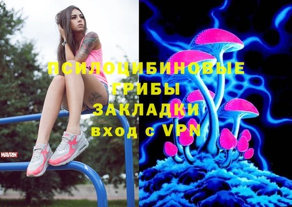 круглые Белокуриха