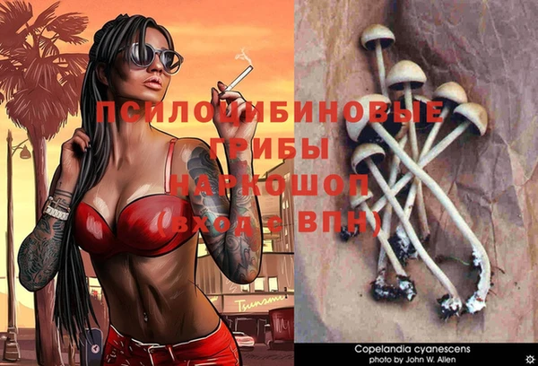 круглые Белокуриха